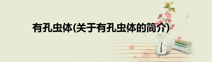 有孔虫体(关于有孔虫体的简介)