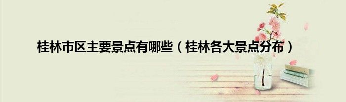 桂林市区主要景点有哪些（桂林各大景点分布）