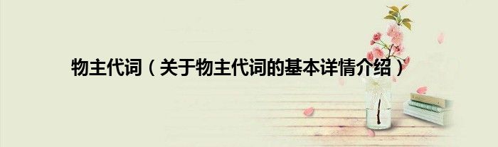 物主代词（关于物主代词的基本详情介绍）
