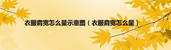 衣服肩宽怎么量示意图（衣服肩宽怎么量）