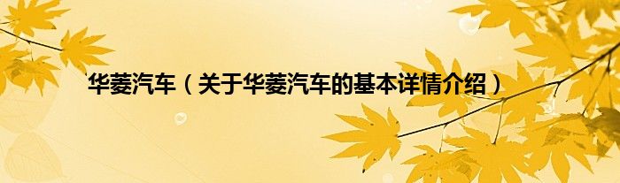 华菱汽车（关于华菱汽车的基本详情介绍）