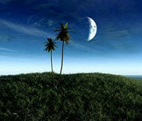 为什么大企业每年都会招聘应届毕业生？