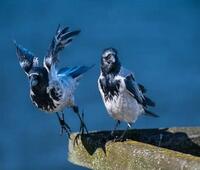 重生1985林兴国林墨池完本小说免费_免费小说笔趣阁重生1985林兴国林墨池